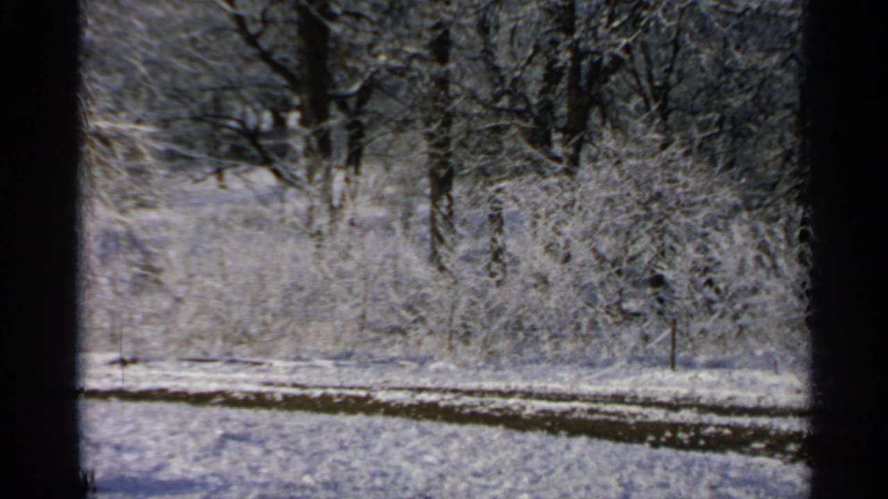 1965 Minnesota 8mm view of snow-covered woods and open ground, partially divided by dark foreground framing.