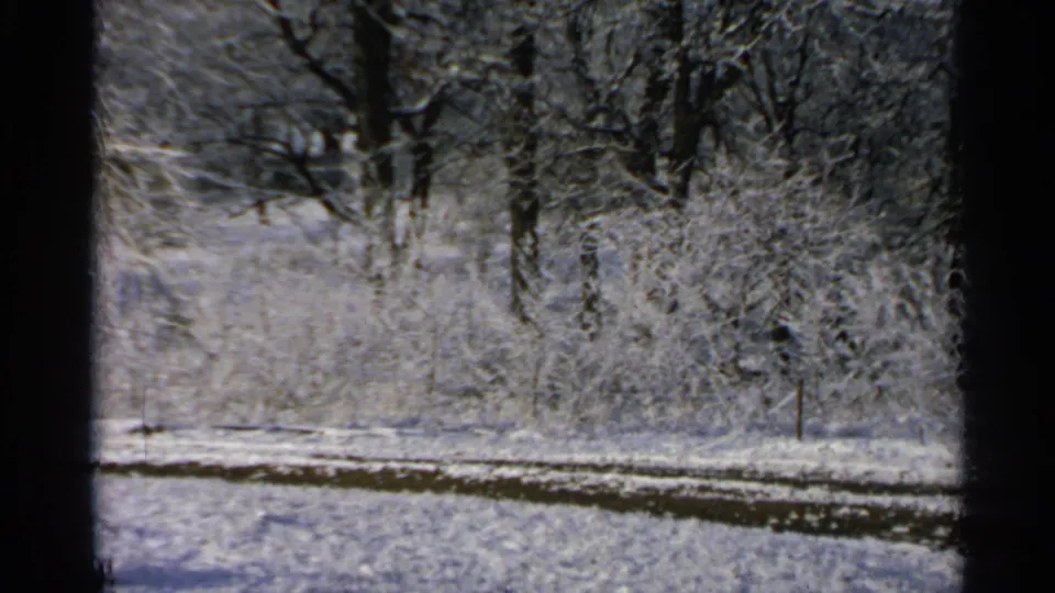 1965 Minnesota 8mm view of snow-covered woods and open ground, partially divided by dark foreground framing.