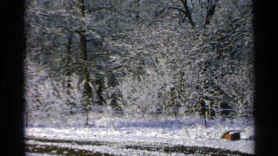 1965 Minnesota 8mm frame showing snow-laden brush, bare trees, a wire fence, and open snowy ground in a rural wooded setting.