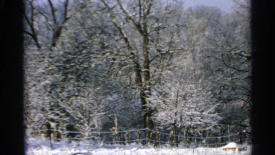 1965 Minnesota winter landscape with a wire fence across the foreground and snow-covered trees and brush beyond it.