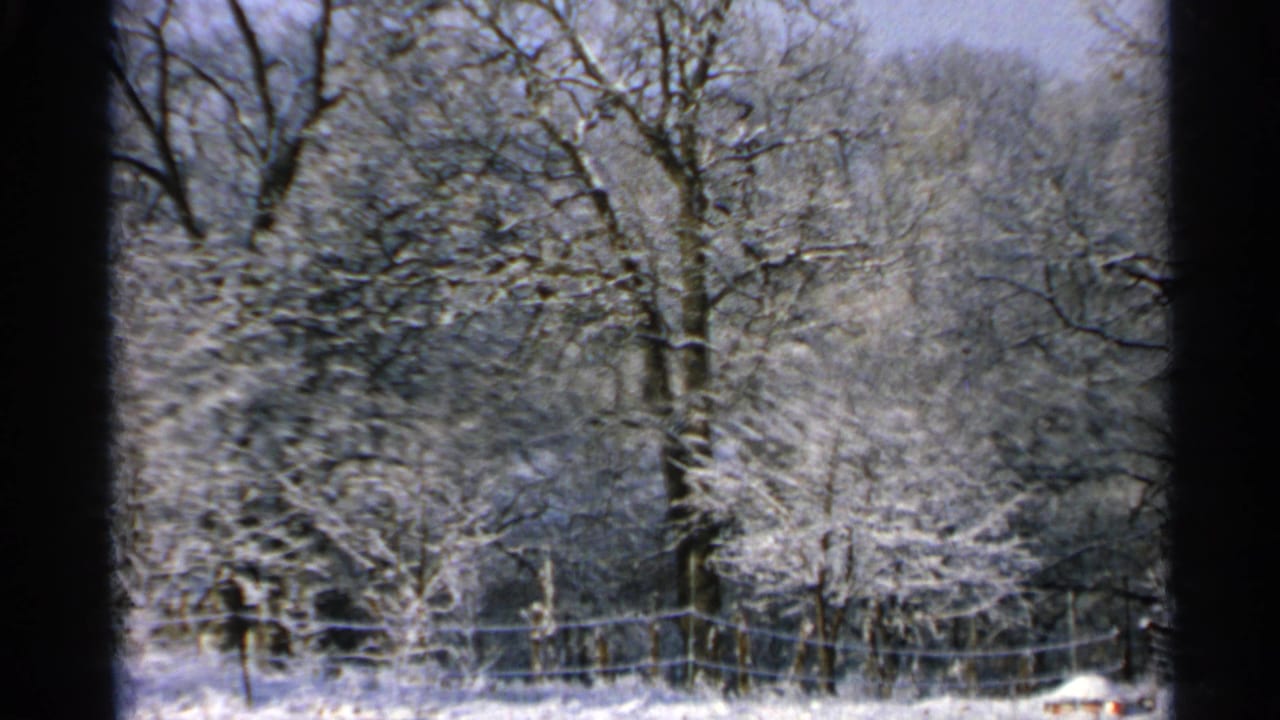 Snow-covered trees and a wire fence in a rural winter landscape.