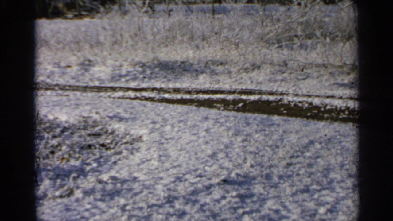 Snowy open ground with a dark curved track or frozen pond edge.