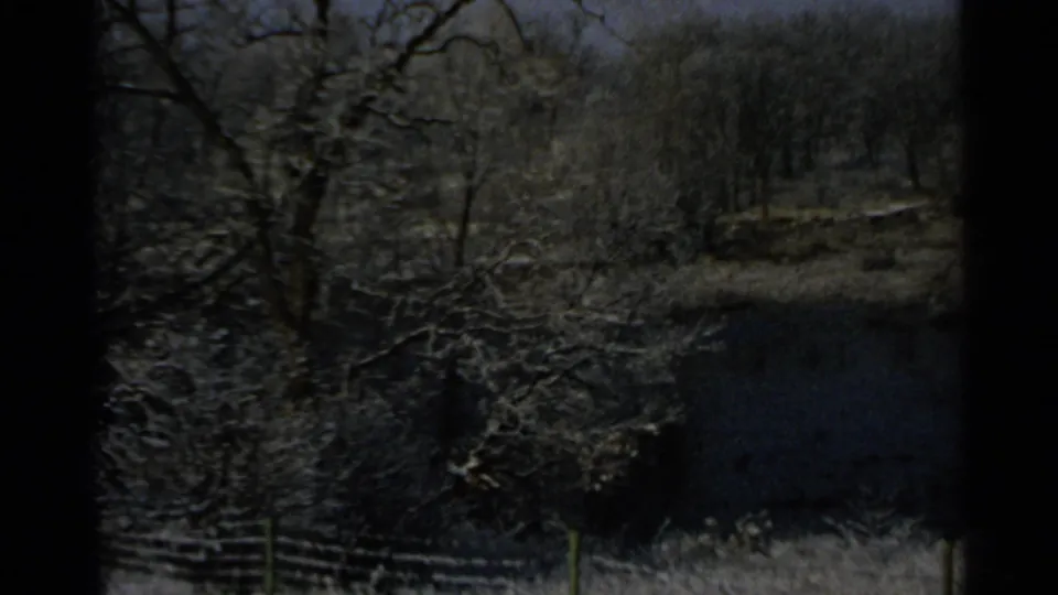 1965 Minnesota 8mm frame showing a dark pond or shaded water area bordered by snowy trees, brush, and fence posts.