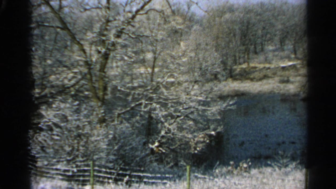 Snowy trees and a pond seen through a dark window frame.