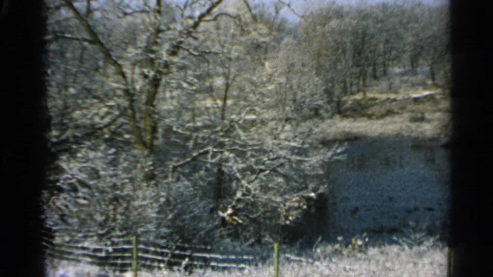 1965 Minnesota 8mm frame showing snow-dusted bare trees, a pond or frozen water surface, brush, and a fence viewed through a window.