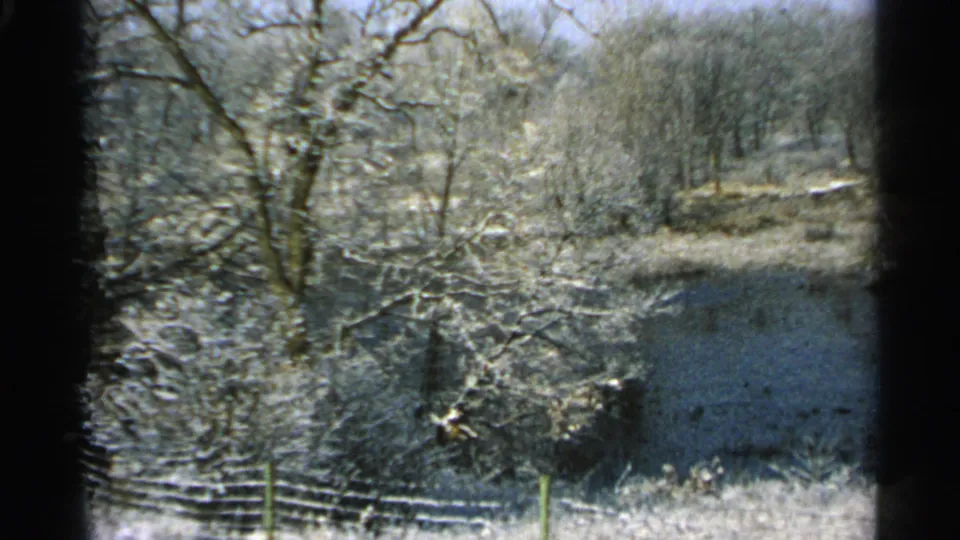 1965 Minnesota winter view with bare trees, snow, water or ice, brush, and a low wooden fence framed by dark window edges.