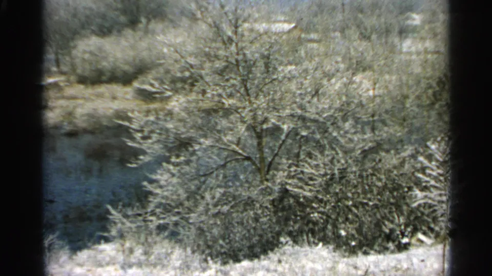 1965 Minnesota 8mm frame with a snow-coated tree and brush near a pond or frozen water, with dark window framing at the side.