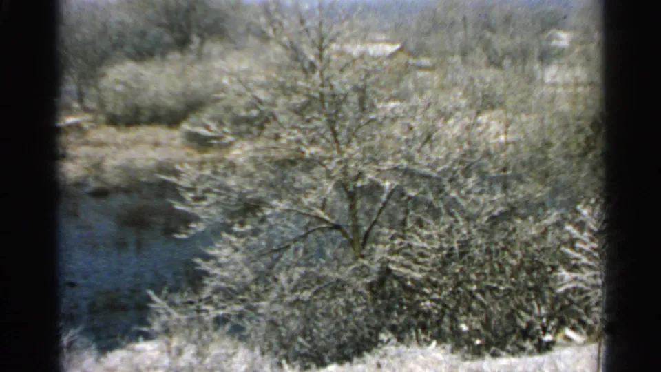 1965 Minnesota winter frame showing a snow-dusted tree, brush, pond or ice surface, and distant wooded bank viewed from indoors or near a window.