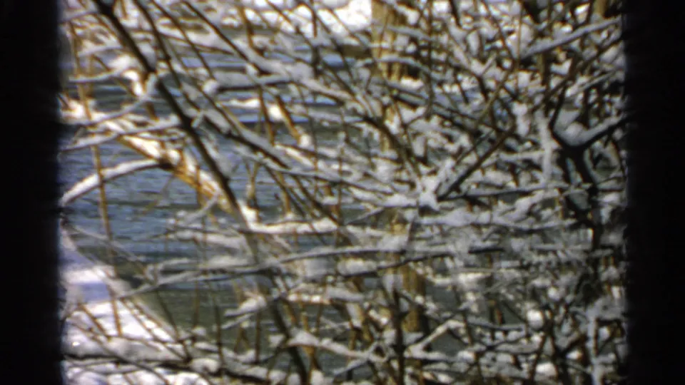 8mm home-movie frame of frost-laden branches along a Minnesota river or waterway in winter.