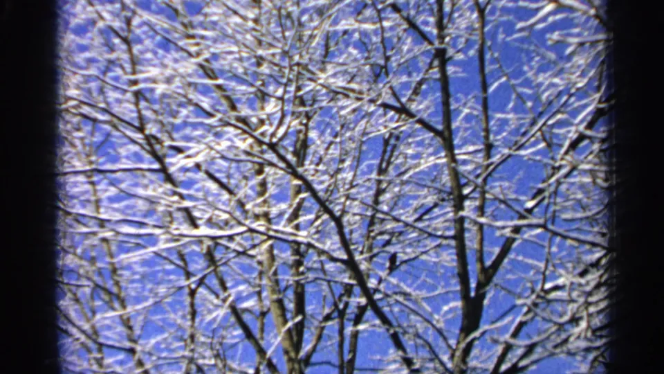 Minnesota winter branches coated in snow against a clear blue sky in a 1965 8mm home-movie frame.