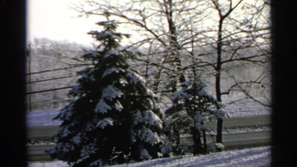 1965 Minnesota 8mm frame showing snow-covered evergreens, bare trees, utility wires, and a snowy roadside or yard.