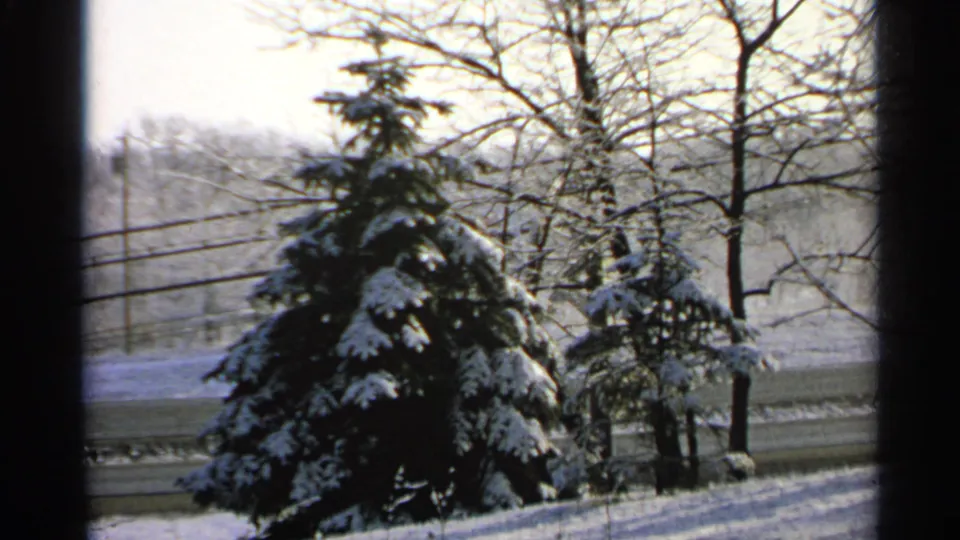 1965 Minnesota home-movie frame with snow-draped evergreens, bare trees, utility lines, and a pale winter background.