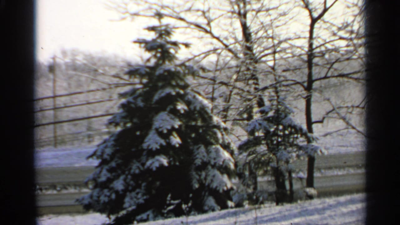 Snow-covered evergreen and bare trees seen through a dark window frame.