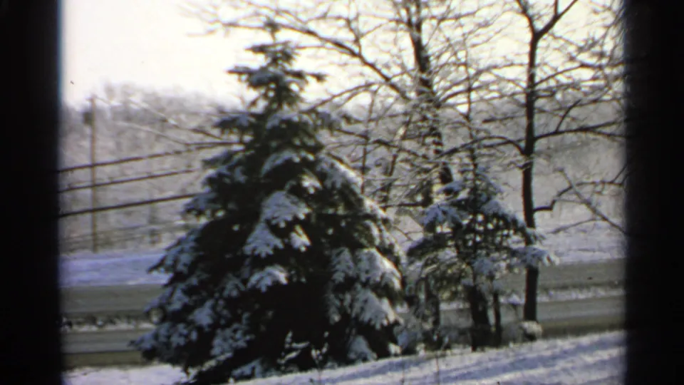 1965 Minnesota 8mm frame showing a snow-laden evergreen, bare trees, roadside utility lines, and a wintry yard viewed through a dark frame.