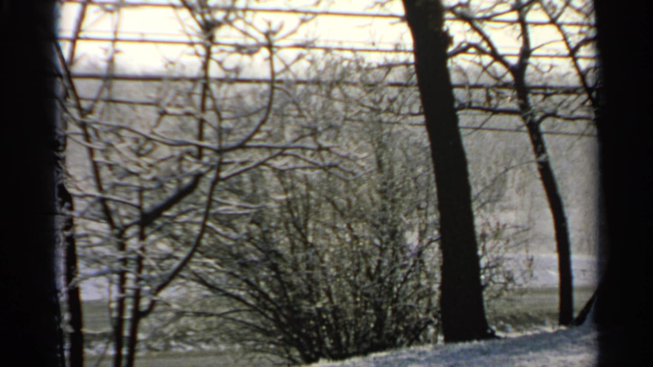 Bare winter trees and shrubs with snow visible beyond a dark vertical frame.