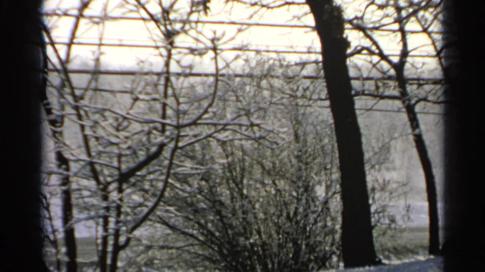 1965 Minnesota 8mm frame showing a wider snowy yard, bare branches, shrubs, tree trunks, and overhead utility lines in winter light.