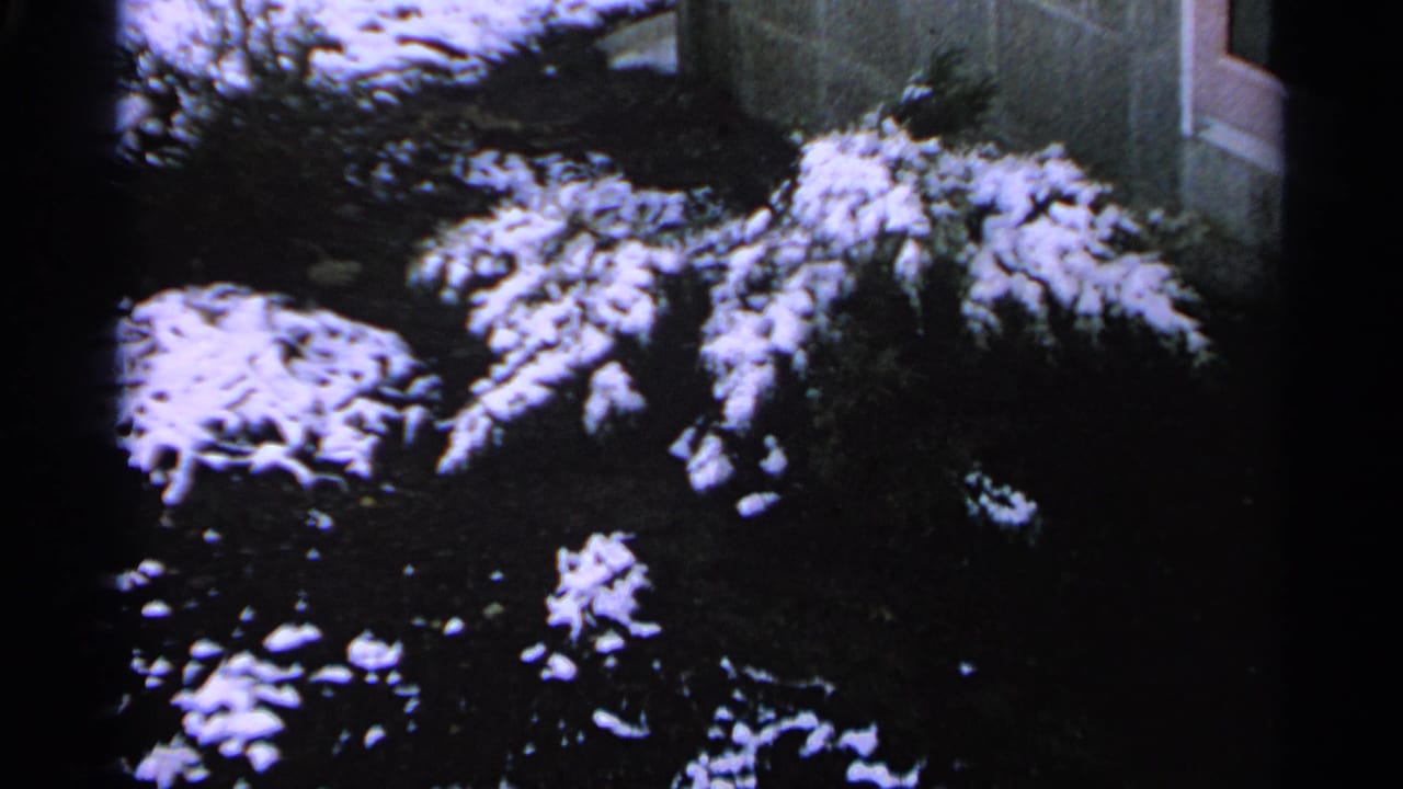 1965 Minnesota home-movie frame with snow on shrubs and dark ground beside an exterior building corner.