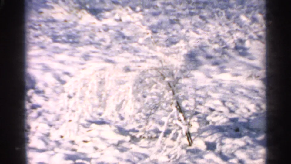 Bright 1965 Minnesota winter frame showing snow-covered ground with faint branches and uneven surface texture.