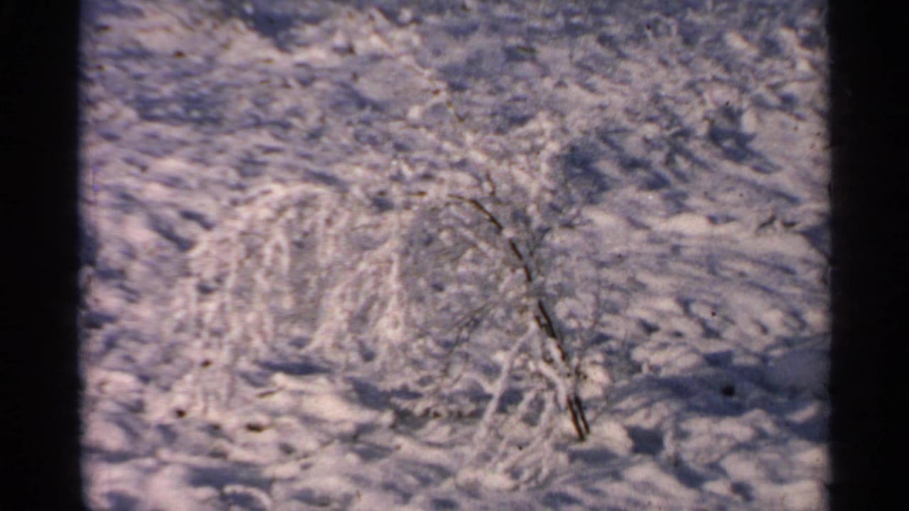 1965 Minnesota 8mm frame showing a small bush coated with snow in a textured snowy landscape.