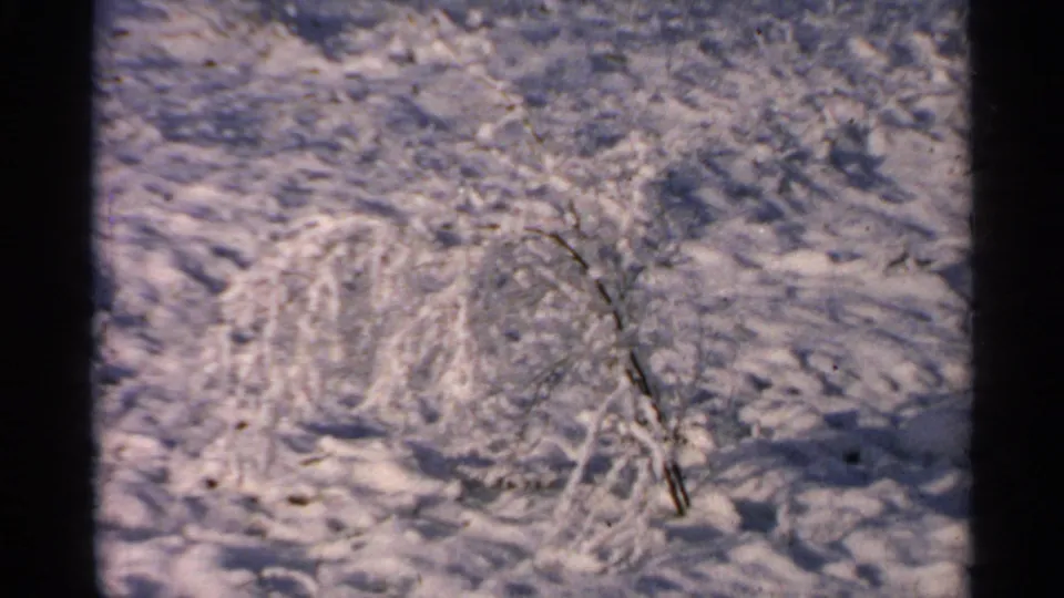 1965 Minnesota 8mm frame showing a small bush coated with snow in a textured snowy landscape.