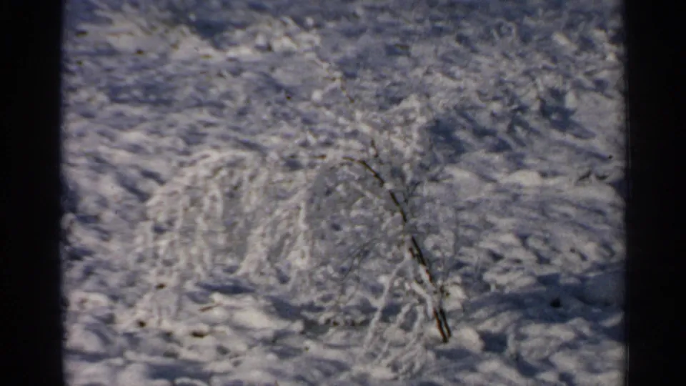 Soft 8mm frame from Minnesota in 1965 showing a small snow-covered bush and surrounding snow.