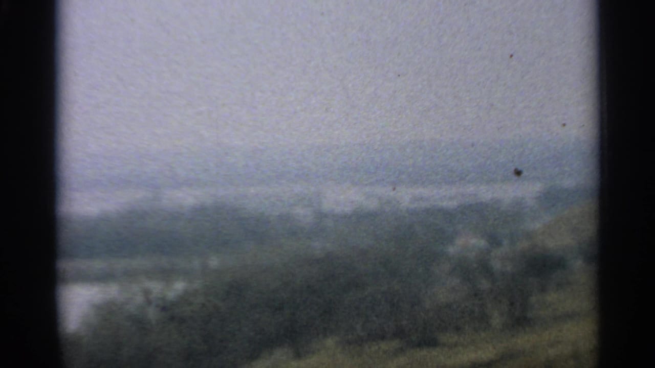 A low-contrast 1965 Minnesota landscape frame with hazy trees, pale water, and pronounced 8mm gate edges.