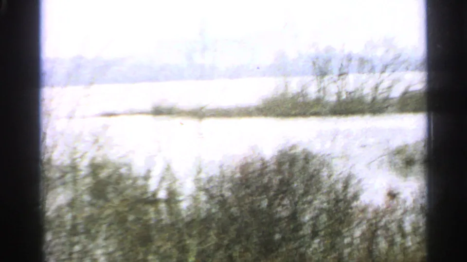 1965 Minnesota 8mm frame with bright pond or flooded field water, brush, bare trees, and dark framing from the filming position.