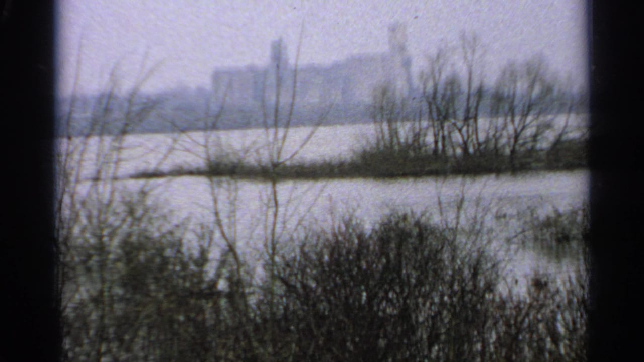 1965 Minnesota 8mm frame showing a muted lake view with bare shrubs, distant tree line, and hazy overcast sky.