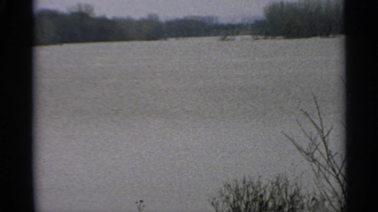 Wide gray lake with dark shoreline trees and branches at the right edge.