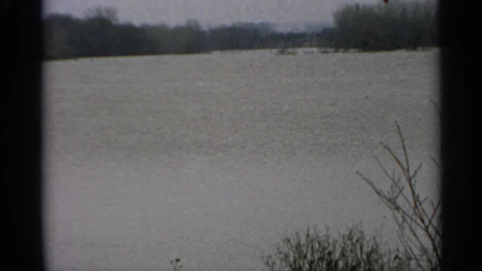 1965 Minnesota lake scene in muted 8mm color, with still water, distant woods, and foreground winter branches.