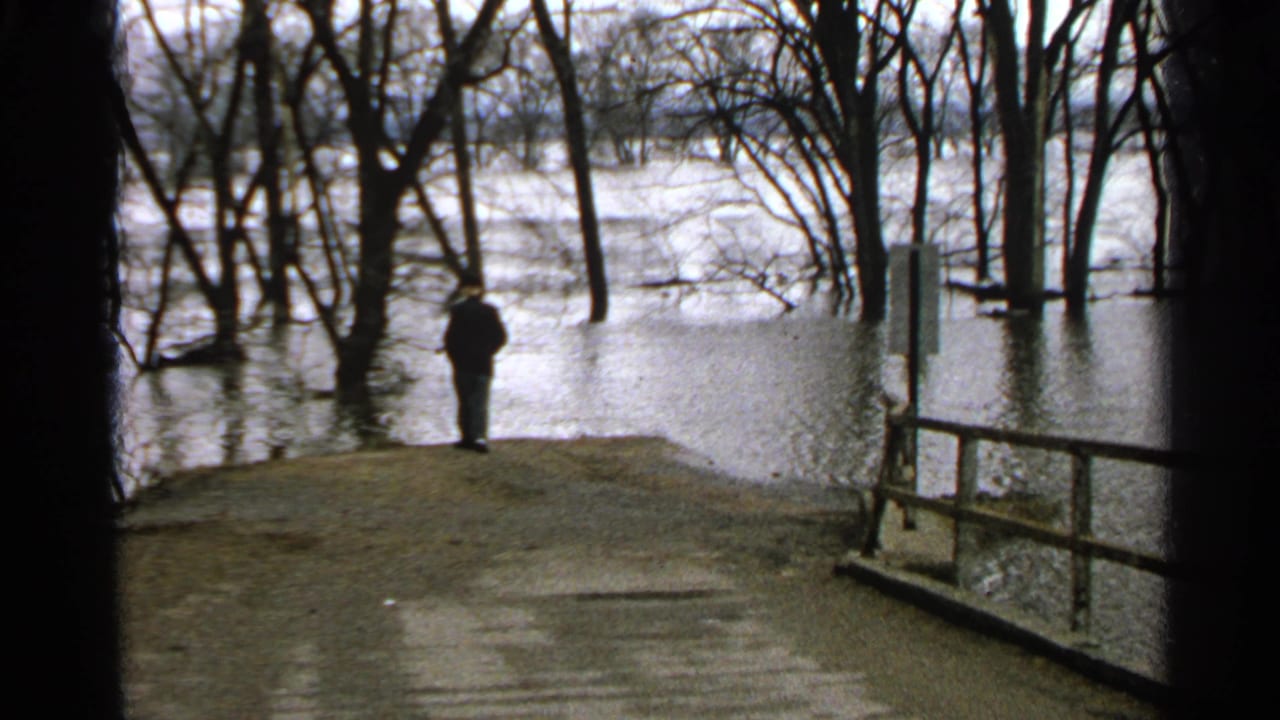 Distant man stands at the edge of floodwater with bare trees and a railing nearby.