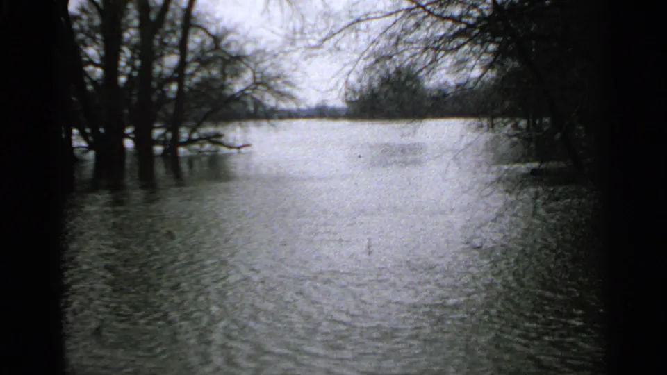 1965 Minnesota 8mm frame of rippled floodwater surrounding leafless trees in a quiet wooded landscape.