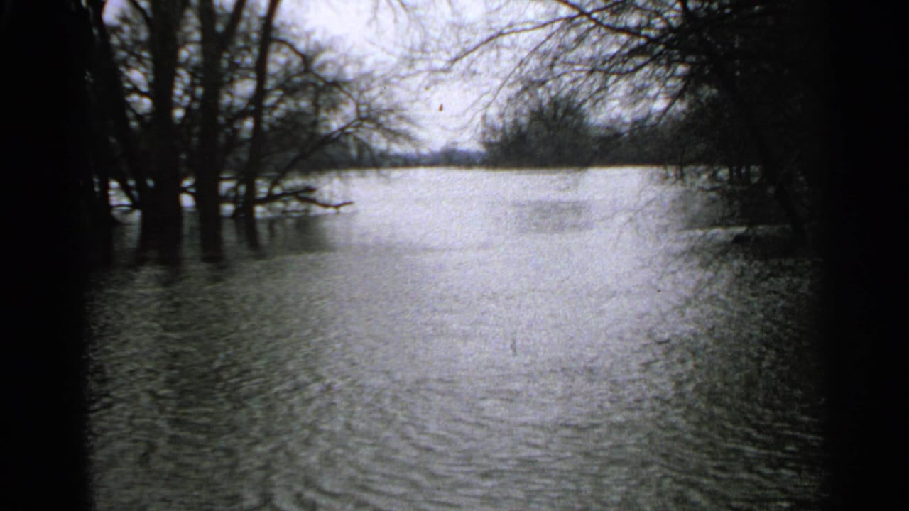 Floodwater surrounds bare trees under an overcast sky.