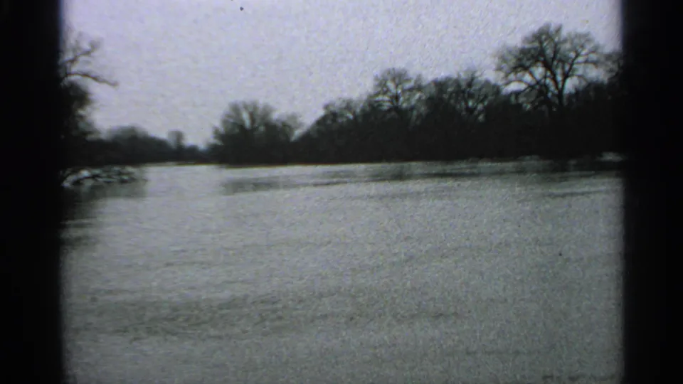 1965 Minnesota 8mm view of flooded woods, rippled water, leafless branches, and a dark treeline.