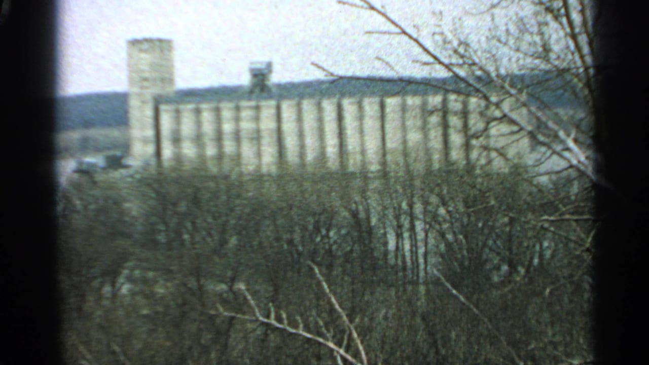 A soft 8mm view of a large Minnesota silo or grain elevator complex beyond bare winter woods.