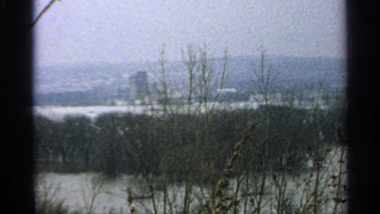 A soft 8mm view in Minnesota shows leafless trees, reflective water, and a distant urban skyline through cloudy haze.
