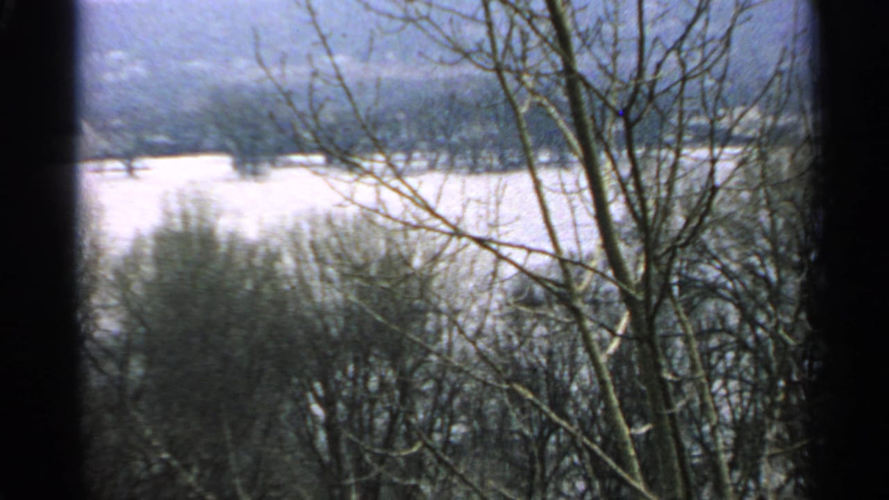 Bare winter trees overlooking a snow-covered field and distant wooded hills.