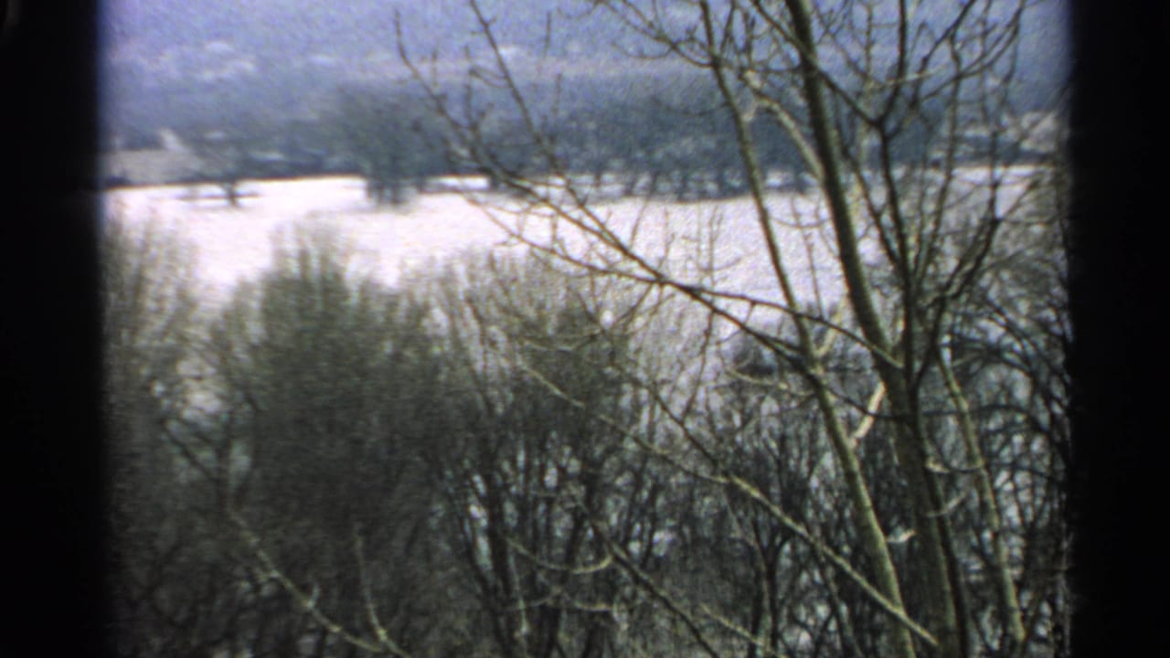 Leafless branches and brush stand before a snowy field and distant hills.