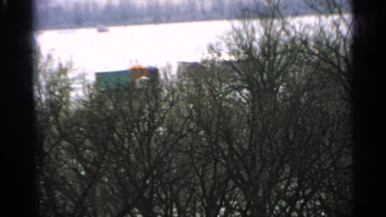 Minnesota 1965 home-movie frame with bright snow beyond leafless trees and a dark vertical film border or obstruction near center.