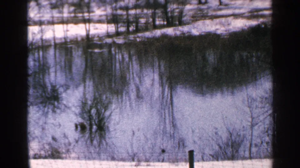 Minnesota, 1965: still floodwater fills low ground beside snow banks and winter brush, reflecting bare trees in the cold landscape.