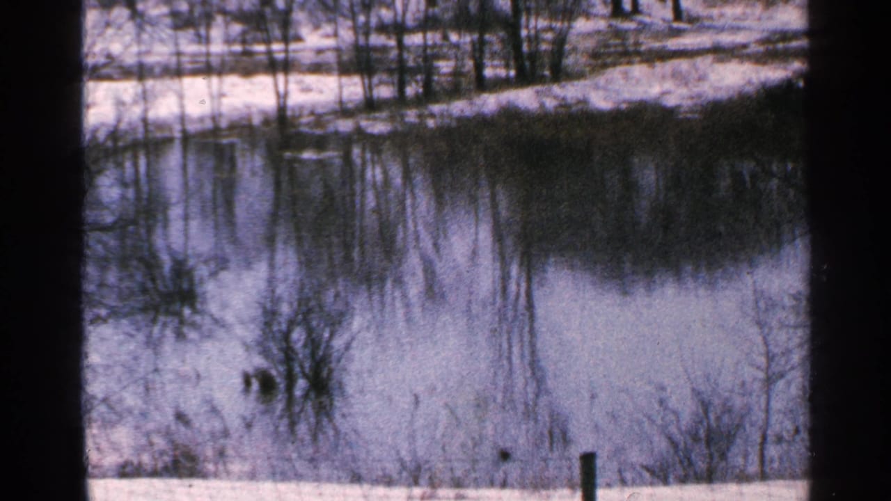 Snowy lakeshore with bare trees reflected in still water behind dark film-frame borders.