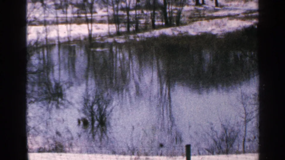 1965 Minnesota 8mm frame showing a snow-covered lake edge, bare trees, shoreline brush, and reflections on calm water.