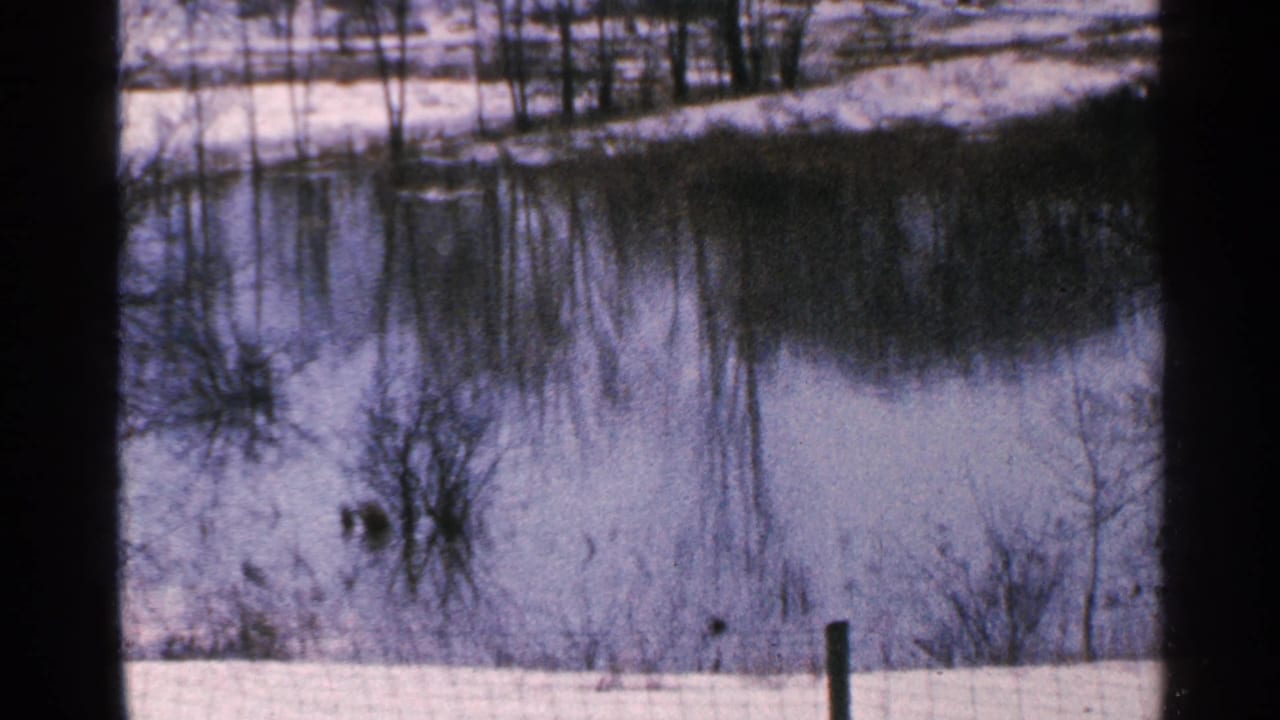 Still winter lake with snow along the bank, bare trees, and a fence post near the foreground.
