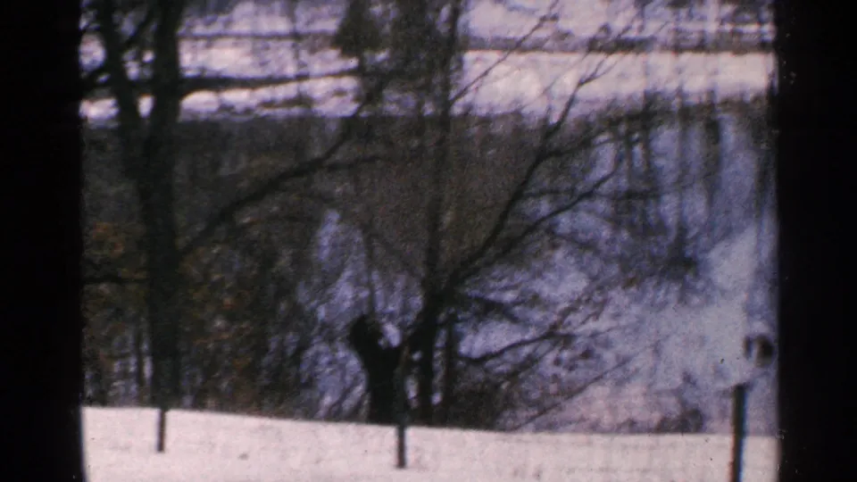 1965 Minnesota 8mm frame with snow, fence posts, leafless trees, and a still lake reflecting the winter shoreline.