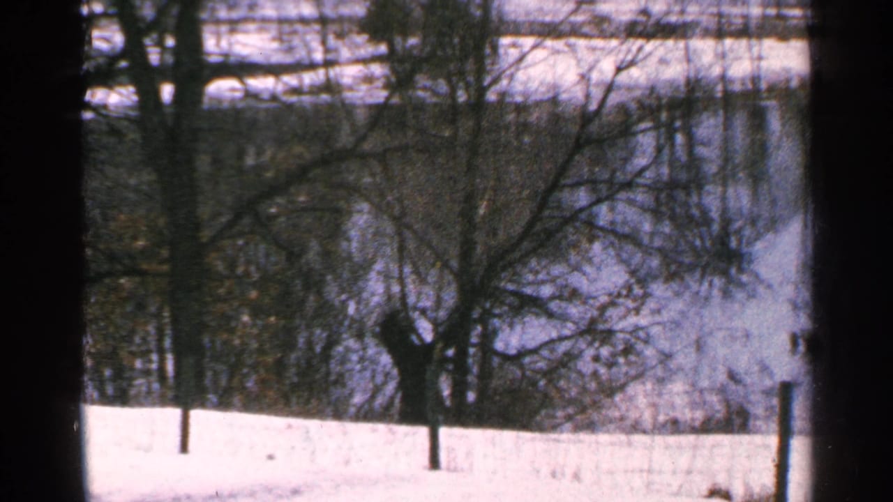 Snowy lakeside scene with bare trees and fence posts.