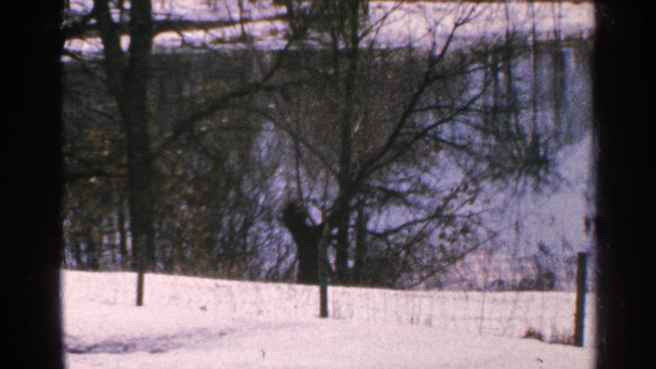 Snowy bank with bare trees beside a lake or river.