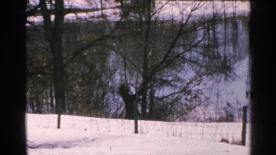1965 Minnesota frame of a snowy lakeside or riverside view with leafless trees and fence posts.