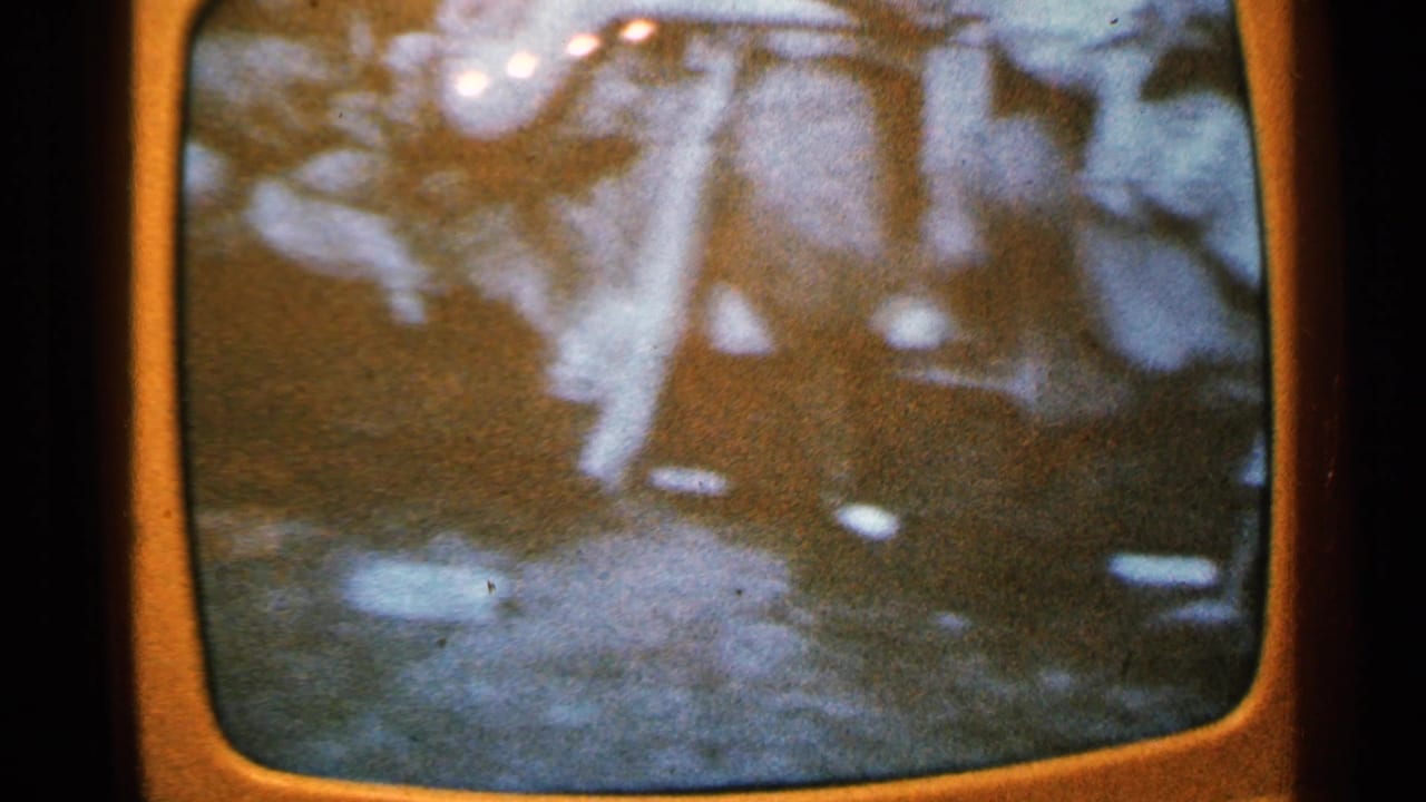 Blurred small television screen with indistinct pale shapes and dark waterlike areas.