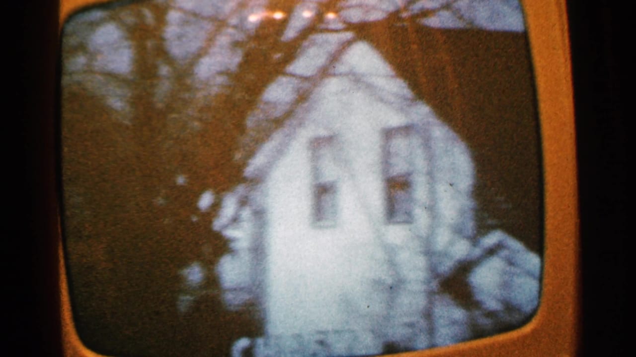 White house behind bare trees, seen in a blurry rounded television-screen frame.