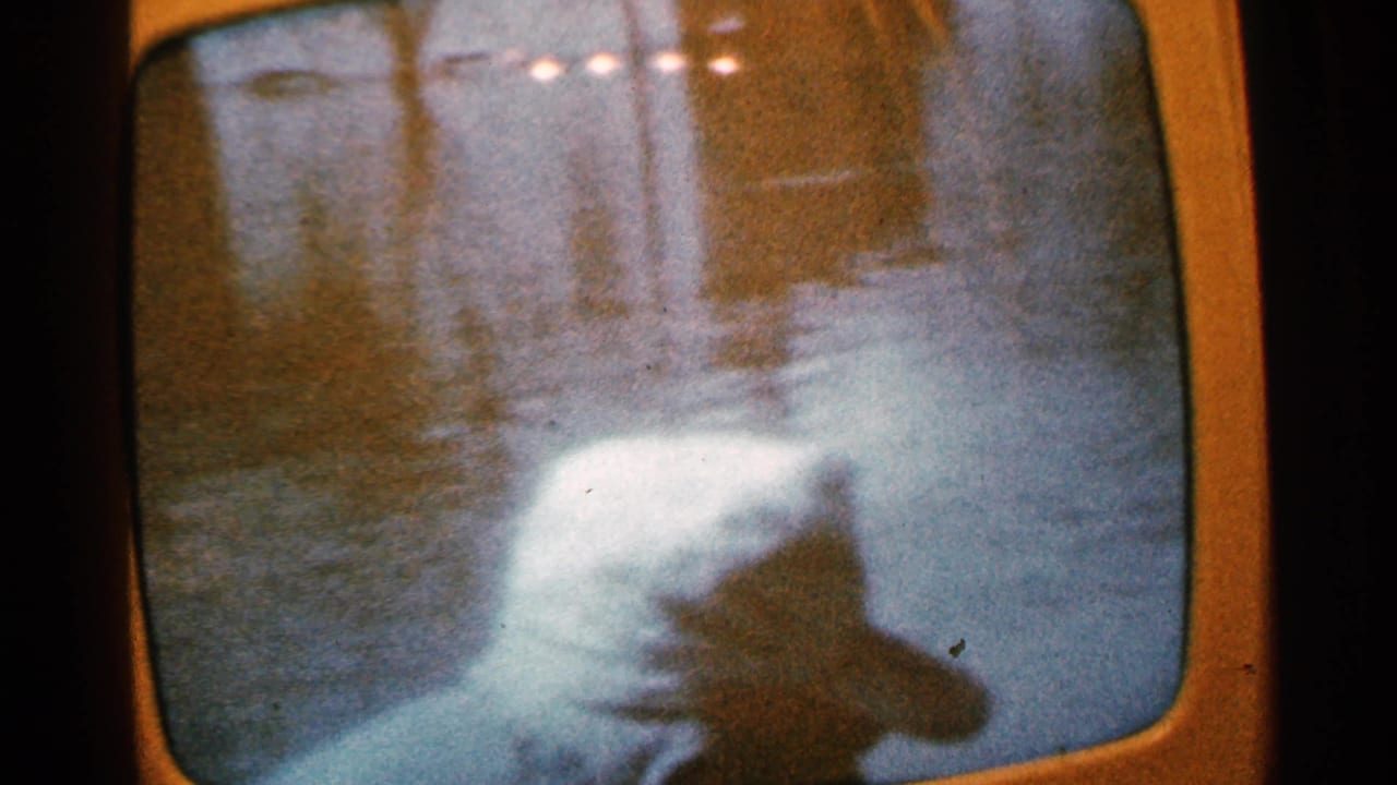 Flooded residential street seen through a dark rounded window frame.